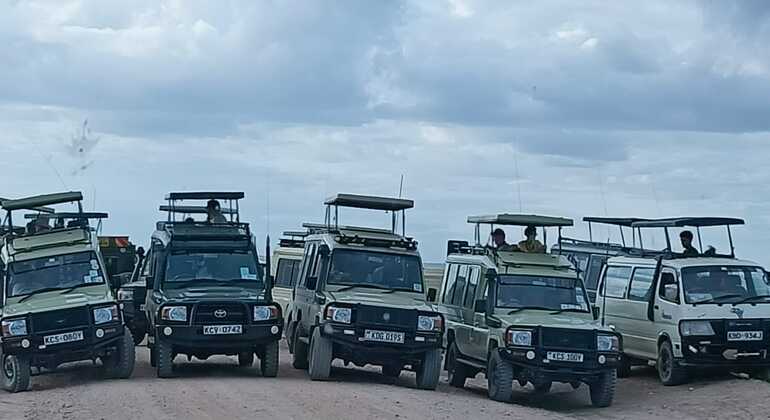 Safari in Kenya di dodici giorni: savana e spiaggia