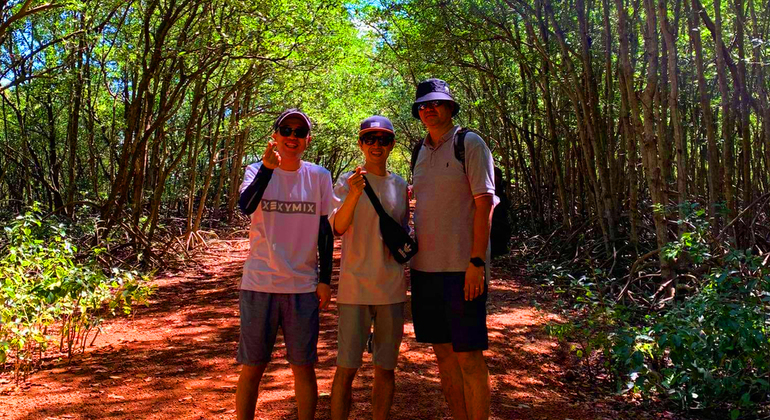 Explorar el bosque de manglares - Can Gio Isla de los Monos en barco y trekking