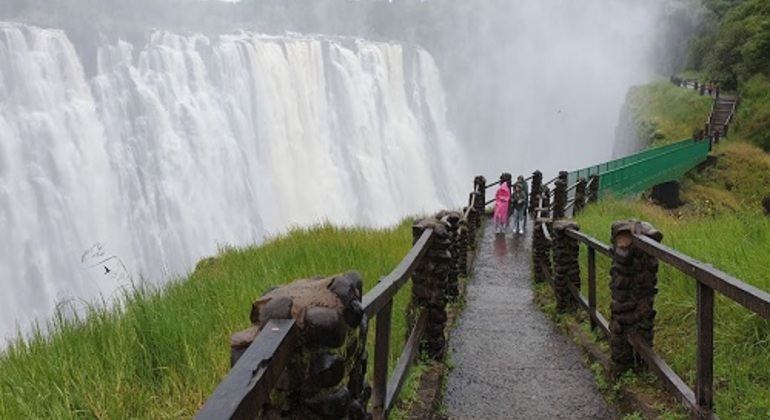 Visite guidée des chutes Victoria