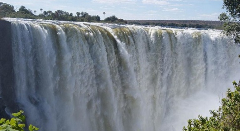 Visite guidée des chutes Victoria