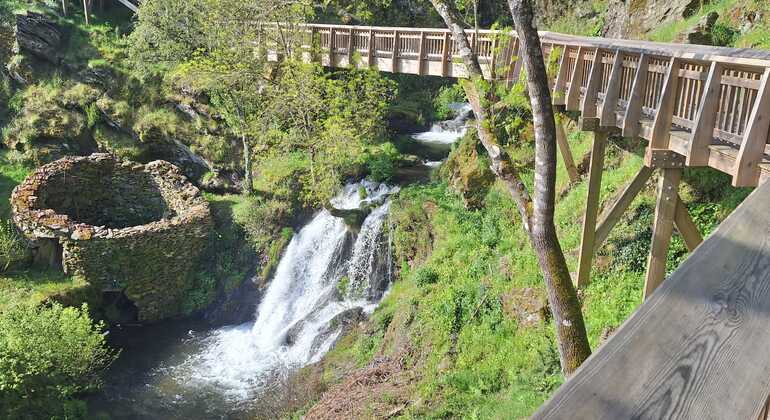 Serra da Estrela: Visita guiada por los senderos del Mondego: historias ocultas y naturaleza