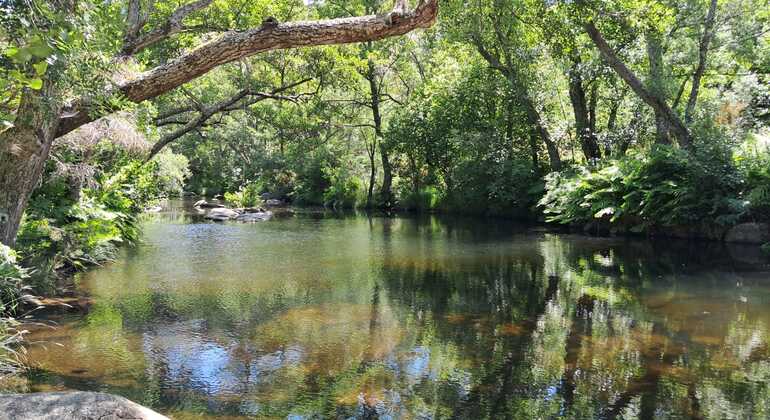 Serra da Estrela: Visita guiada por los senderos del Mondego: historias ocultas y naturaleza