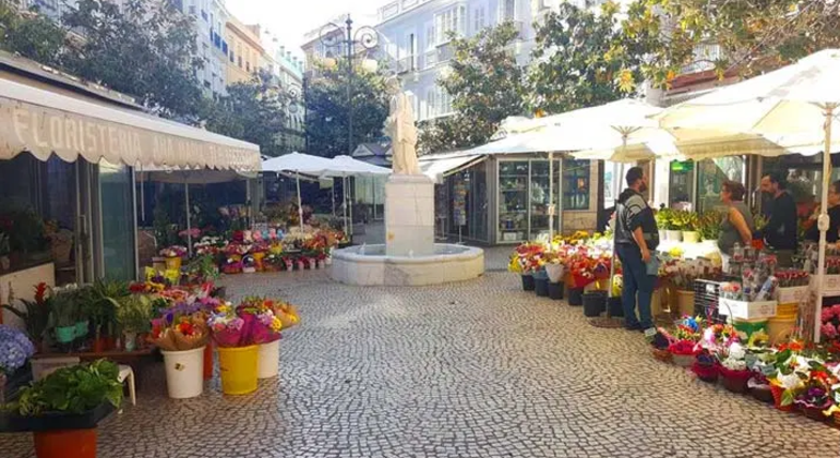 Tour Privado por Cádiz de 6 Horas en Español