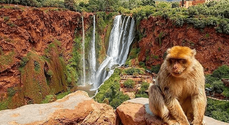Excursión de un día a las cascadas de Ouzoud y paseo en barco