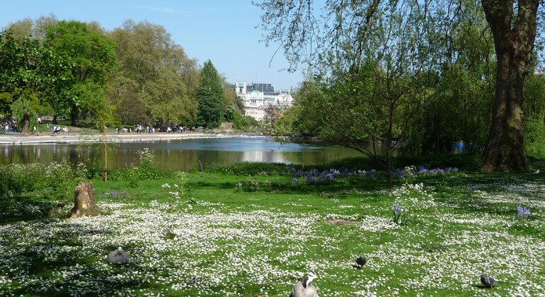 Complete Private Tour of London