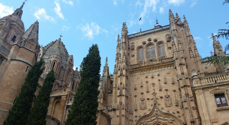 Private Tour durch Salamanca für 6 Stunden