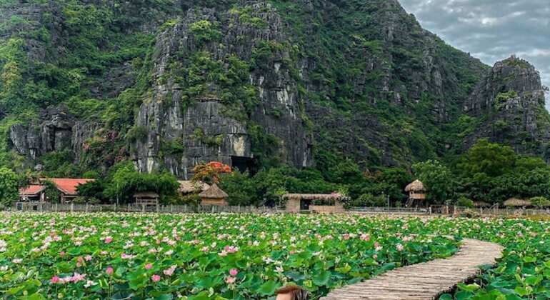 Ninh Binh Giornata intera, gita in barca a Trang An e Montagna del Drago