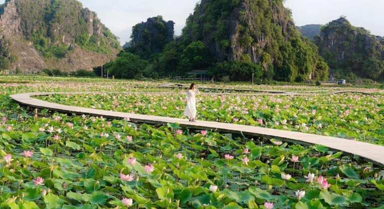 Ninh Binh Giornata intera, gita in barca a Trang An e Montagna del Drago
