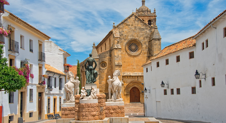 Private Tour of Cordoba for 6 Hours in Spanish