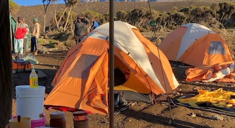 Kilimanjaro Experience Machame Route 3 Days