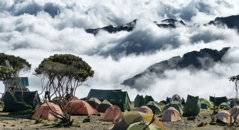Kilimanjaro Experience Machame Route 3 Days