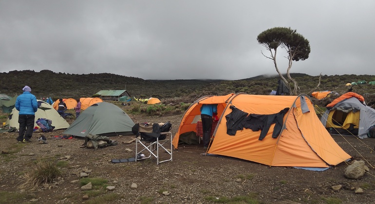 Kilimanjaro Experience Machame Route 3 Days