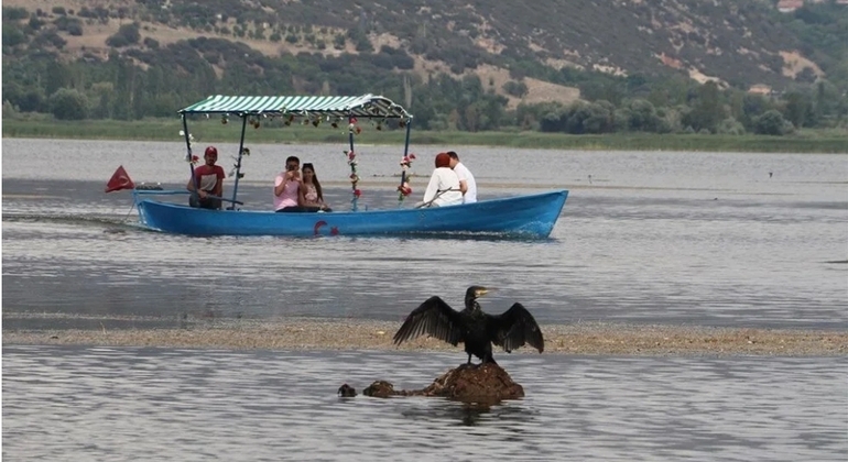 Faune, oiseaux et excursion en bateau dans le lac Lotus