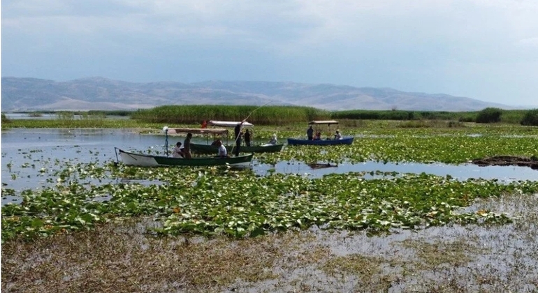 Faune, oiseaux et excursion en bateau dans le lac Lotus