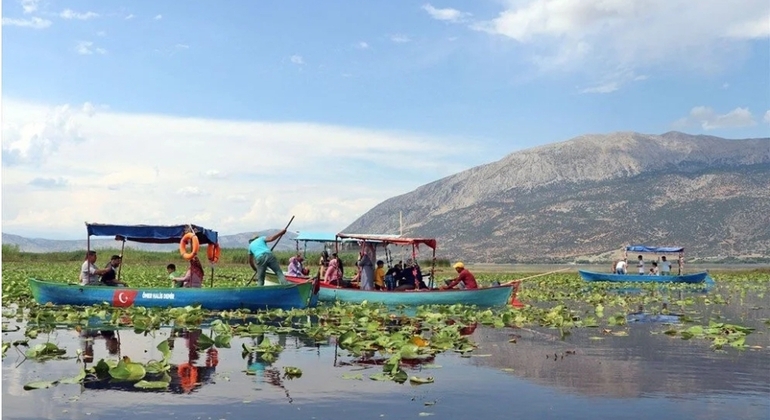 Faune, oiseaux et excursion en bateau dans le lac Lotus