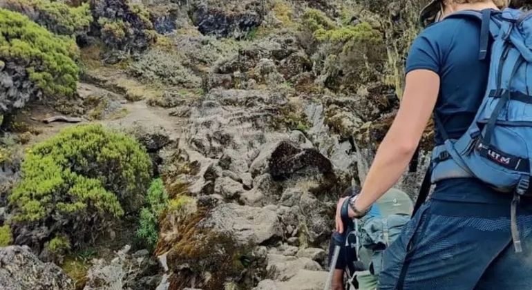 Excursión de un día a la Ruta Machame del Kilimanjaro