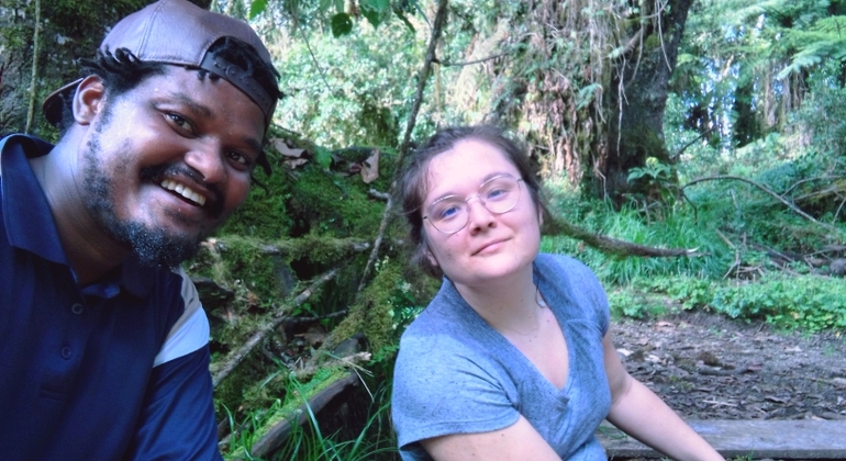 Excursión de un día a la Ruta Machame del Kilimanjaro