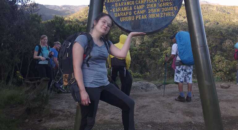 Excursión de un día a la Ruta Machame del Kilimanjaro
