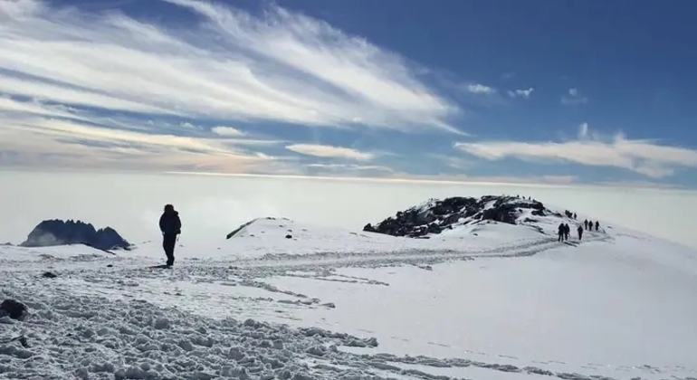 Kilimanjaro Experience Lemosho Route 3 Days