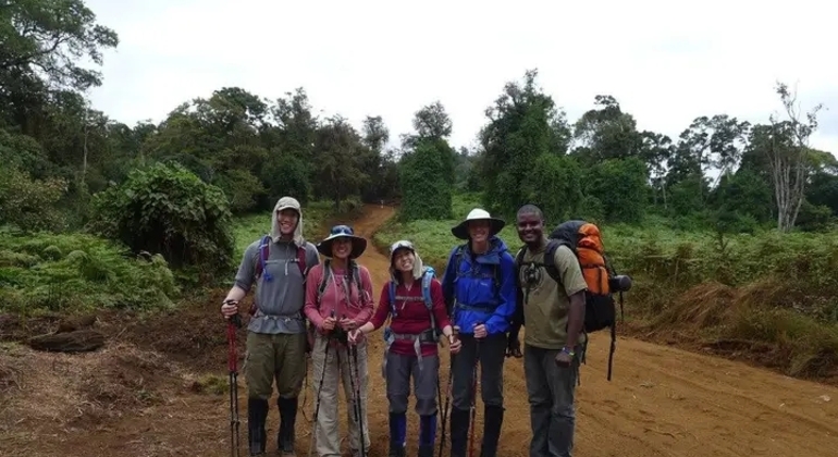 Kilimanjaro Experience Lemosho Route 3 Days