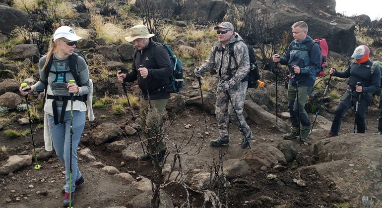 Kilimanjaro Experience Marangu Route 3 Days