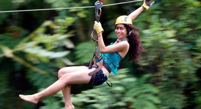 Baumkronen-Zipline-Abenteuer und Höhle in Fidschi