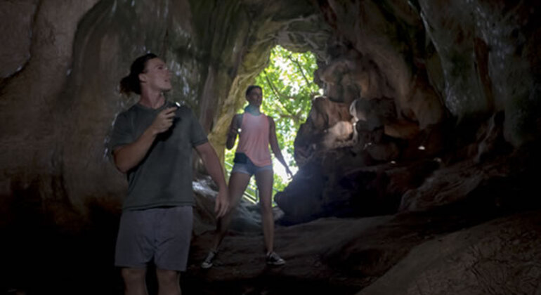Baumkronen-Zipline-Abenteuer und Höhle in Fidschi