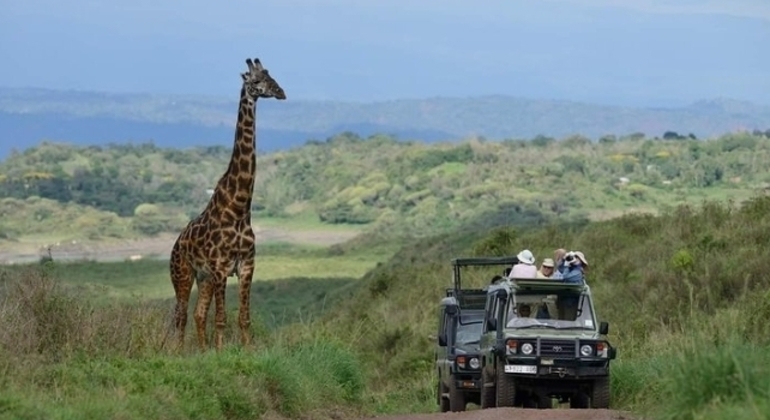 Safari por Tanzania Excursión de un día al Parque Nacional de Arusha