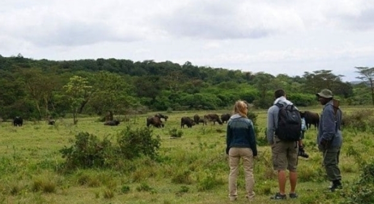 Safari por Tanzania Excursión de un día al Parque Nacional de Arusha