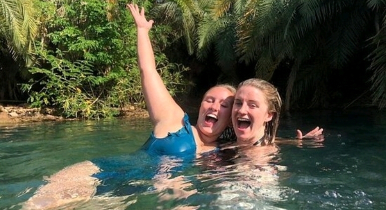 Erkunden Sie Moshi Kikuletwa Hot Springs