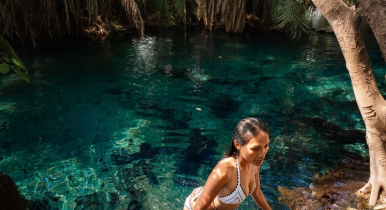 Erkunden Sie Moshi Kikuletwa Hot Springs