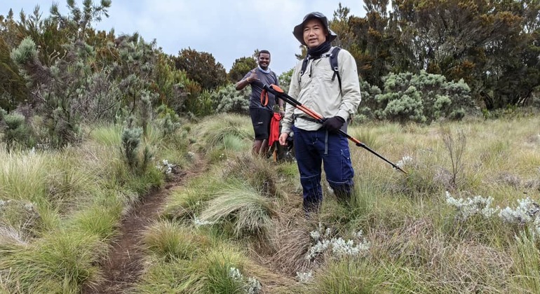 Test of Mount Kilimanjaro Marangu Route 2 Days