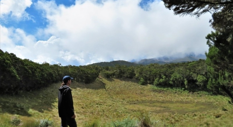 Test of Mount Kilimanjaro Marangu Route 2 Days