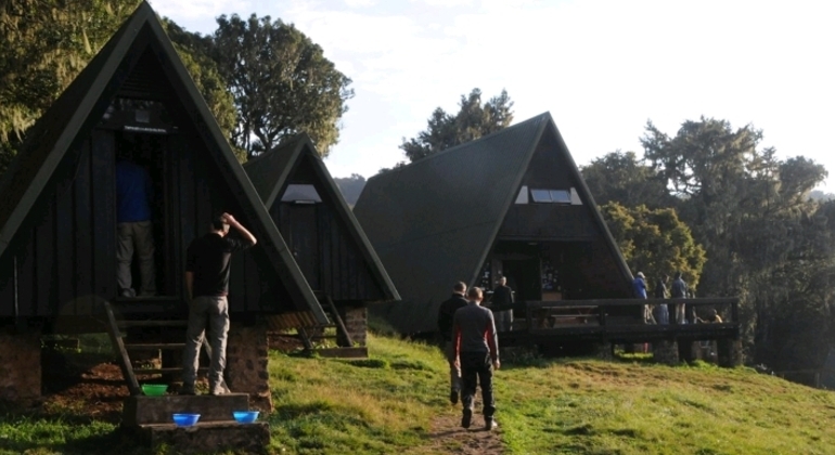Test of Mount Kilimanjaro Marangu Route 2 Days