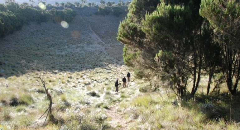 Test of Mount Kilimanjaro Marangu Route 2 Days
