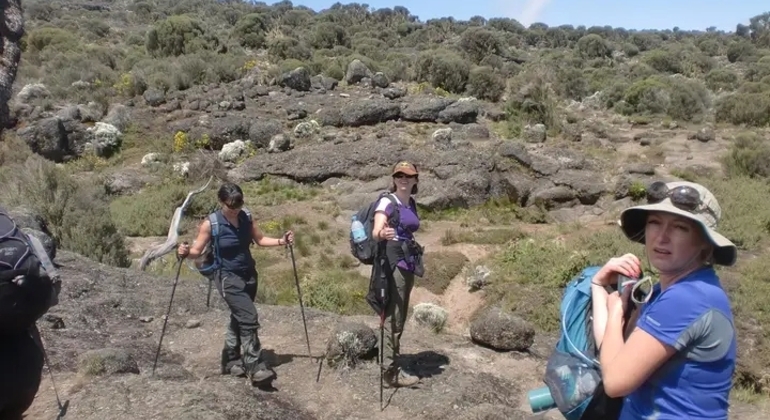Kilimanjaro Experience: Lemosho Route Four Days