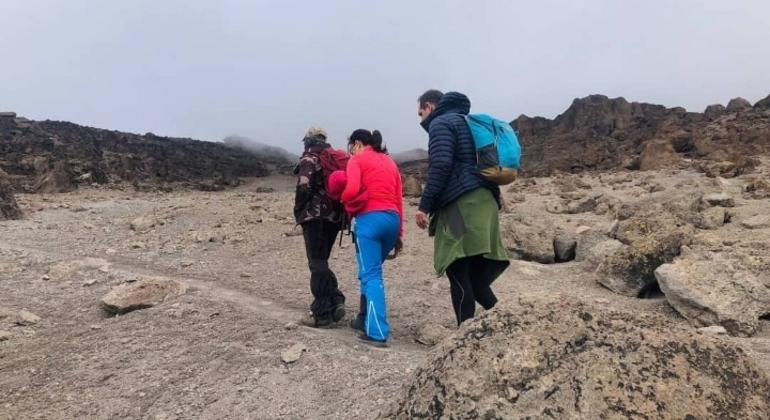 Kilimanjaro Experience: Lemosho Route Four Days