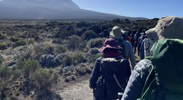 Kilimanjaro Experience: Lemosho Route Four Days