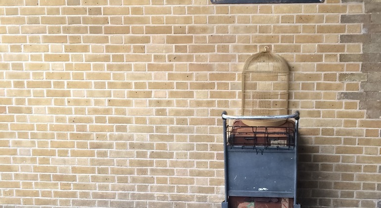 Harry Potter London Private Tour